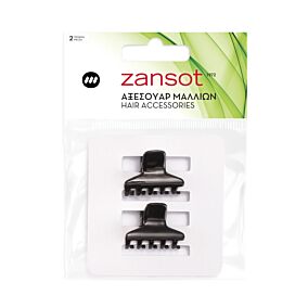 Κλάμερ μαλλιών ZANSOT μικρό classic