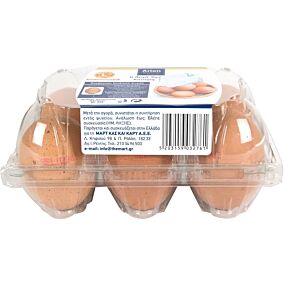 ARION FOOD φρέσκα αυγά μεγάλα  6τεμ  63gr-73gr