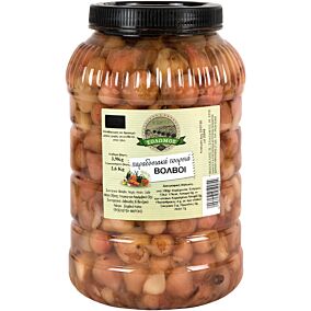 Βολβοί ΣΟΛΩΜΟΣ (3,9kg)