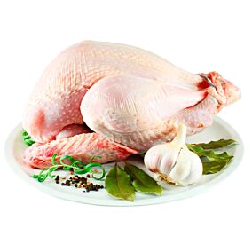 Γαλοπούλα νωπή συσκευασμένη Ιταλίας