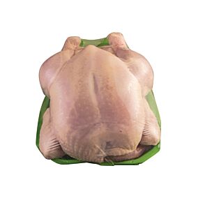 Κοτόπουλο ΝΙΤΣΙΑΚΟΣ βλάχικο ολόκληρο νωπό χύμα εγχώριο (~1,3kg)