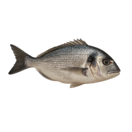 Φρέσκα Ψάρια