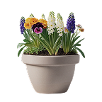 DIY Κήπος & Hobby