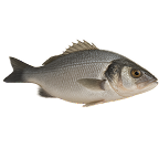 Ιχθυοπωλείο