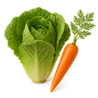 Οπωροπωλείο