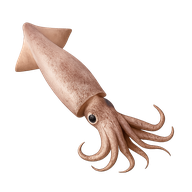 &Theta;&alpha;&lambda;&alpha;&sigma;&sigma;&iota;&nu;ά